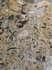 Hertfordshire Puddingstone polished cobble close up