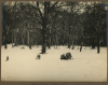 Wanstead Park Snow 1940s