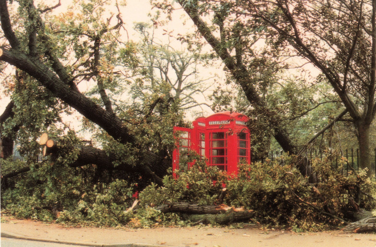 Southend Great Storm 1987 with damaged trees and phone boxes Copyright: William George