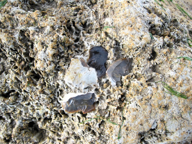 Walton on the Naze in situ flint flakes Copyright: William George