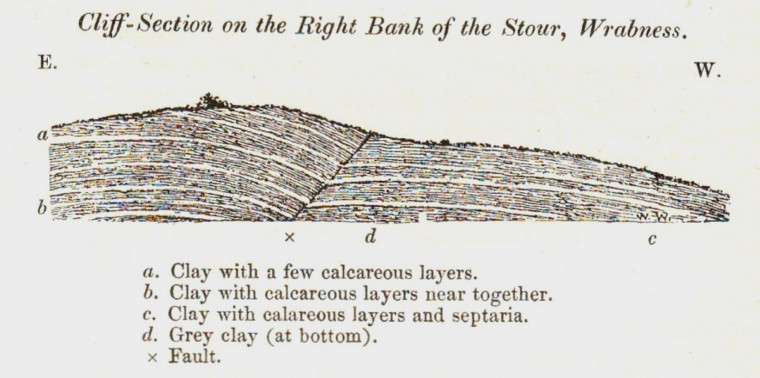 Wrabness Cliff fault with ash bands sketched by William Whitaker Copyright: William George