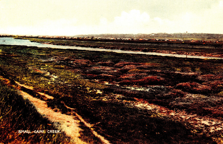 Canvey Island Small Gains Creek Postcard Copyright: William George Collection