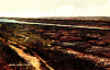 Canvey Island Small Gains Creek Postcard