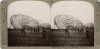 Colchester Zeppelin Stereograph Photograph