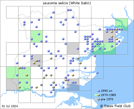 random taxon map