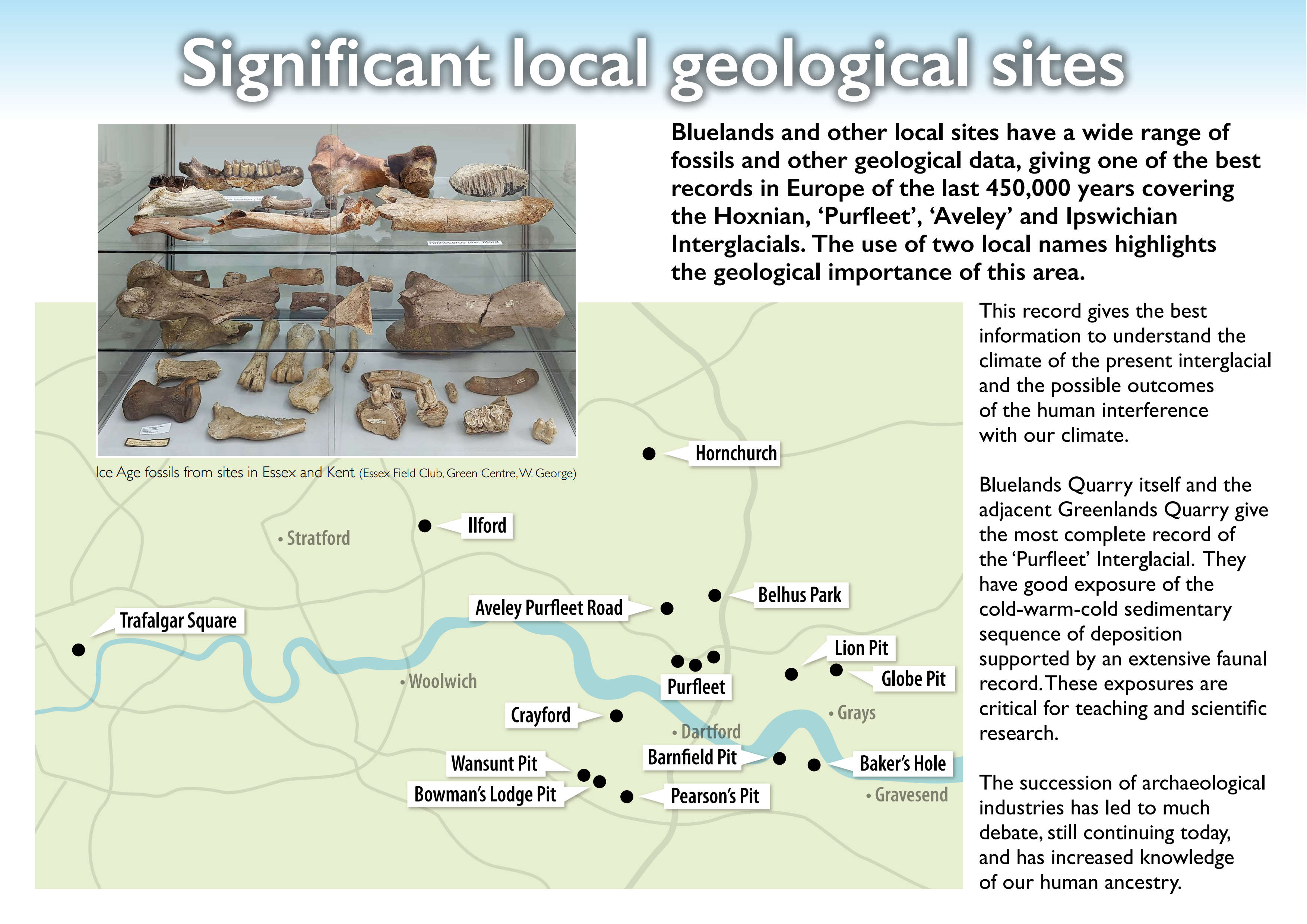 Significant local geological sites. Bluelands and other local sites have a wide range of fossils and other geological data, giving one of the best records in Europe of the last 450,000 years covering the Hoxnian, ‘Purfleet’, ‘Aveley’ and Ipswichian Interglacials. The use of two local names highlights the geological importance of this area. This record gives the best information to understand the climate of the present interglacial and the possible outcomes of the human interference with our climate. Bluelands Quarry itself and the adjacent Greenlands Quarry give the most complete record of the ‘Purfleet’ Interglacial. They have good exposure of the cold-warm-cold sedimentary sequence of deposition supported by an extensive faunal record. These exposures are critical for teaching and scientific research. The succession of archaeological industries has led to much debate, still continuing today, and has increased knowledge of our human ancestry. Ice Age fossils from sites in Essex and Kent (Essex Field Club, Green Centre, W. George) Grays Romford Wansunt Pit Lion Pit Bowman’s Lodge Pit Globe Pit Barnfield Pit Aveley Purfleet Road Crayford Belhus Park Baker’s Hole Pearson’s Pit Ilford Hornchurch Purfleet Gravesend Trafalgar Square Stratford